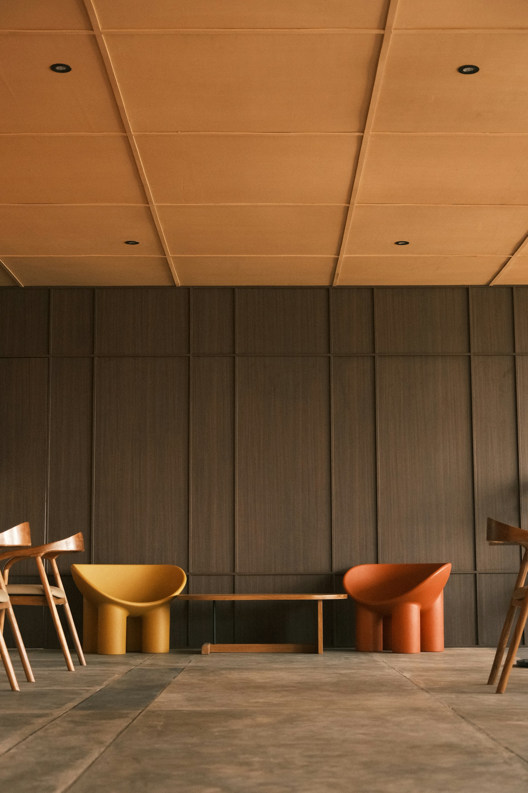 Modern chairs in a timber-lined interior